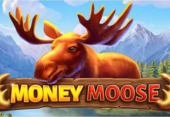 Money Moose