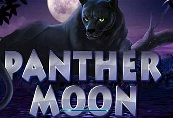 Panther Moon